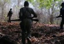 Chhattisgarh Maoist Couple Surrenders to Odisha Police; Rehabilitation and Arms Seizure Updates